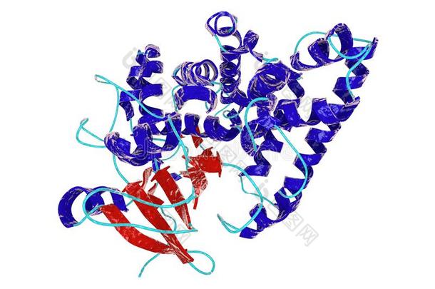 生物化学生物学生物合成生物技术酶