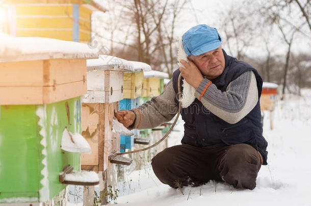 养蜂人<strong>冬</strong>季监测<strong>蜜</strong>蜂在蜂巢中的状况