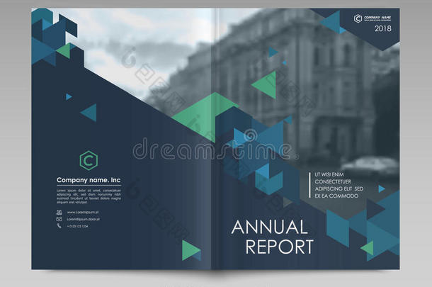 涵盖设计年度报告，传单，小册子。
