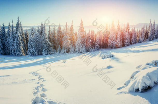 奇妙的冬季<strong>景观</strong>，<strong>台阶</strong>，一些通向莫的东西