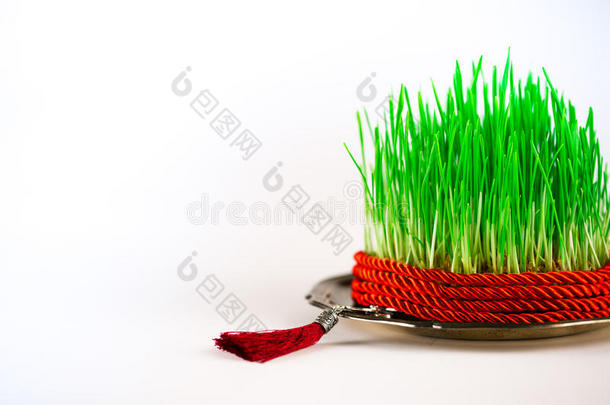 绿色的Semeni在复古盘子上，装饰着扭曲的红色丝带和红色的流苏