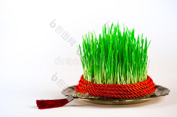 绿色的Semeni在复古盘子上，装饰着扭曲的红色丝带和红色的流苏