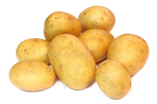 一组在白色背景上分离的土豆