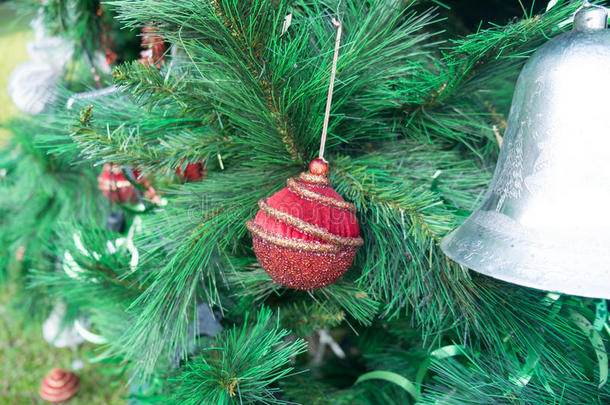 圣诞红球挂在圣诞树上