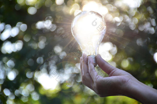 手持灯泡的人的手，用于想法或成功或太阳能