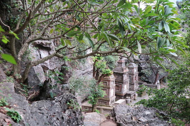 越南北部丛林中的古庙