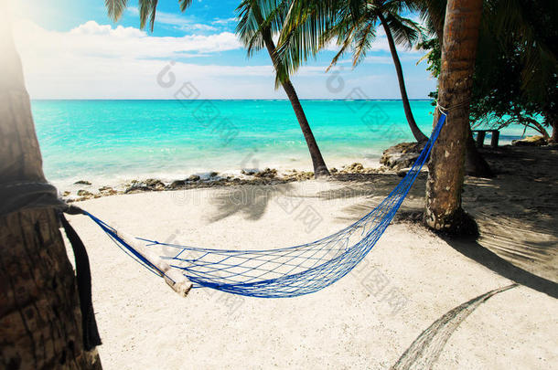 热带海滩度假胜地的空网吊床