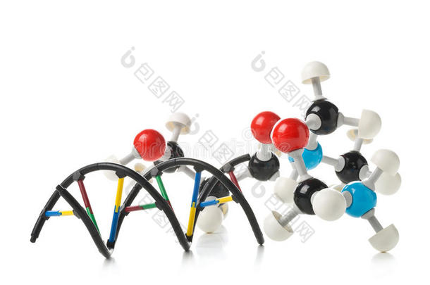 白色背景下的化学分子模型和dna结构模型