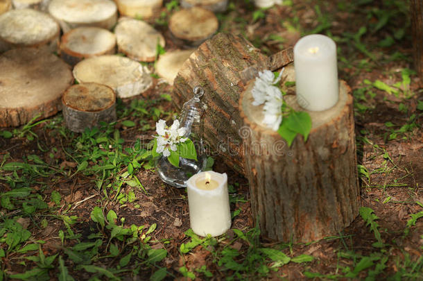 婚礼的细节：树桩，蜡烛，篮子，绿色植物。