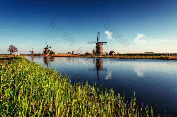 五颜六色的春天与传统的荷兰风车运河在罗