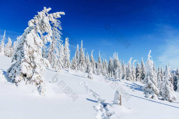 奇妙的冬季景观，台阶，山脉。 卡帕提安，乌克兰，欧洲。