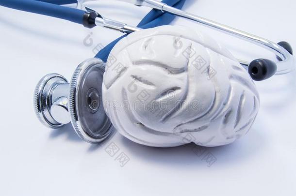 人脑作为听诊器附近器官的解剖三维模型，大型胸器是对大脑的研究或测试。 概念照片