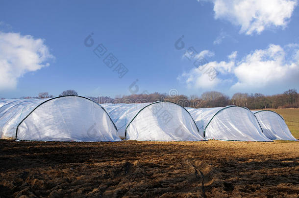 温室隧道由聚乙烯塑料连续制成，在农业领域，<strong>乡村</strong>景观与蓝天和<strong>白云</strong>，c