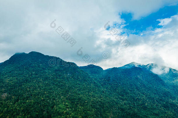 美丽的风景或自然和天空的顶部旅行在泰国。绿色的树木与雾在泰国山区