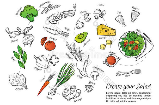 <strong>手绘蔬菜</strong>新鲜沙拉的矢量图，c