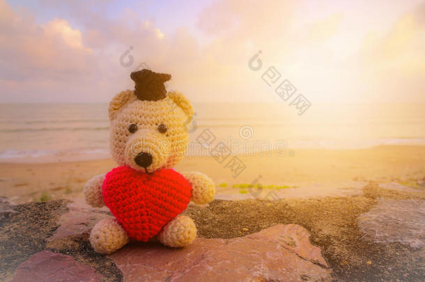 动物宝贝背景海滩熊