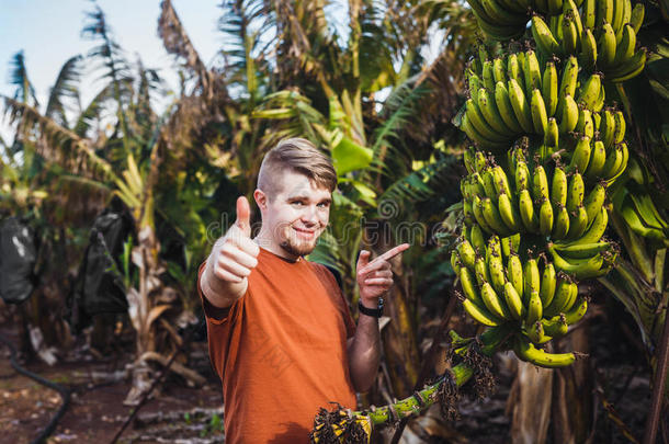 农民在<strong>香蕉种植</strong>园竖起大拇指