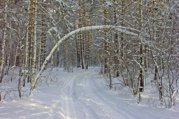 林间<strong>雪路</strong>