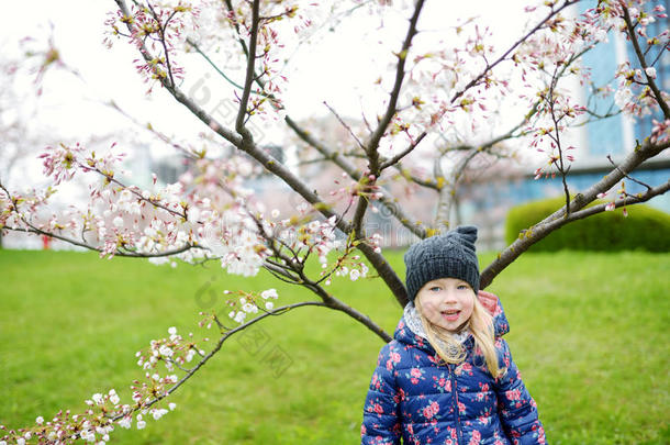 可爱的小女孩在美丽的春天盛开的<strong>樱桃园</strong>里玩得很开心