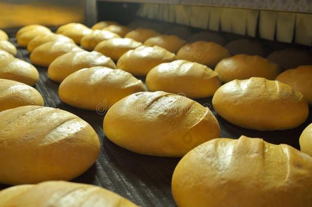 面包。 面包店。 面包店。 面包的生产。 烤箱里的新鲜白面包。