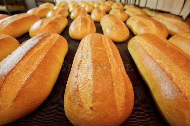 面包。 面包店。 面包店。 面包的生产。 烤箱里的新鲜白面包