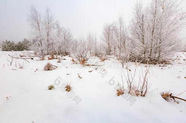 美女暴风雪圣诞节气候云