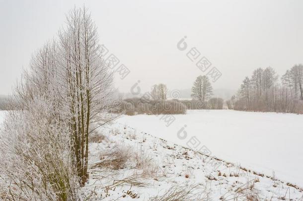 美女暴风雪圣诞节气候云