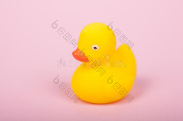 粉红色背景上可爱的黄色橡胶鸭子
