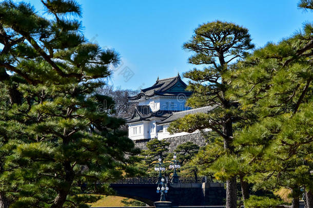 城堡皇宫东京日本，冬天