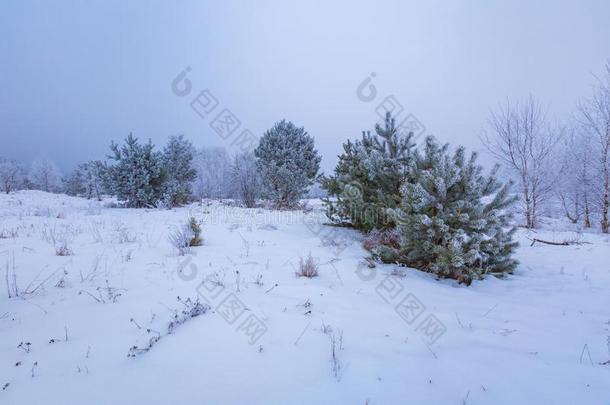 美女暴风雪圣诞节气候云