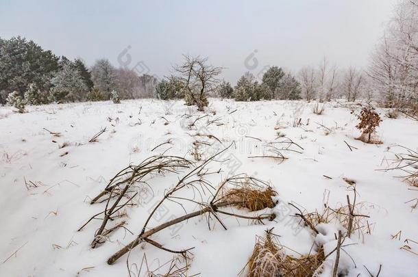 美女暴风雪圣诞节气候云