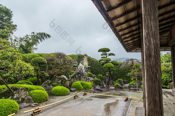 建筑学亚洲亚洲的建筑灌木