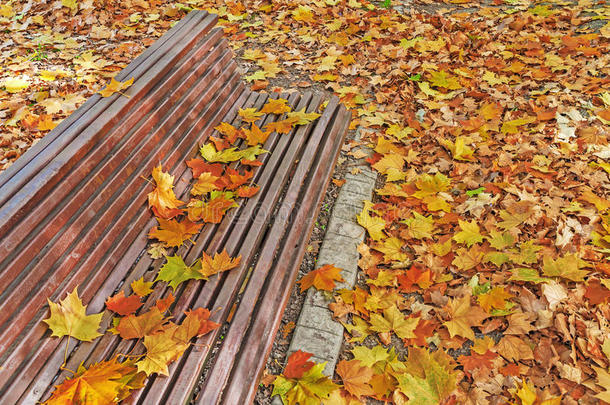 秋天公园的长凳上<strong>到处都是</strong>五颜六色的叶子，秋天的叶子