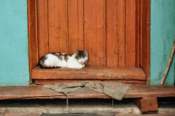 可爱的猫躺在乡下房子的门廊上。 <strong>乡村</strong>场景。 <strong>乡村</strong>生活