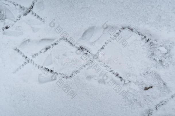 雪地上追踪靴子的脚印