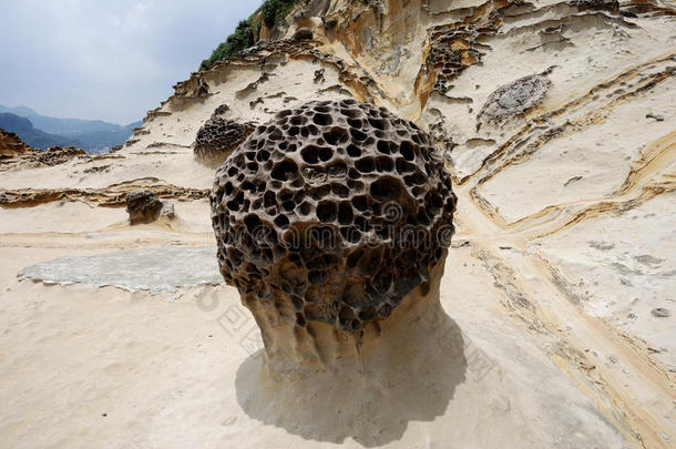 外星人奇怪的生物化石地质