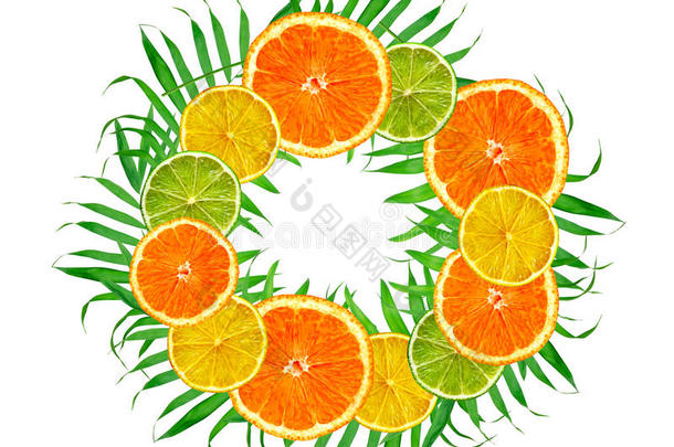 柑橘类水果：橙色，柠檬，青蕨叶上的石灰，白色