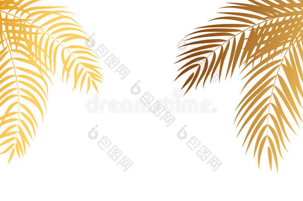 美丽的棕榈树叶剪影背景矢量