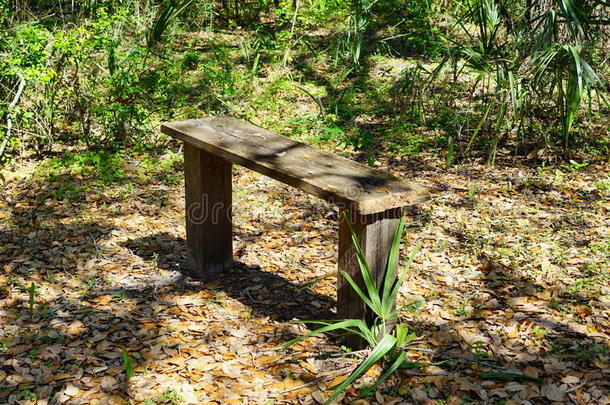 坐在树林里的木凳