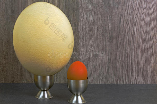 鸡蛋和<strong>鸵鸟</strong>蛋的比较