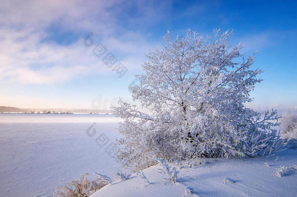 桦木暴风雪寒冷的十<strong>二月二月</strong>