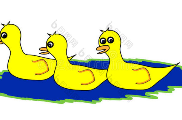 池塘上的鸭子