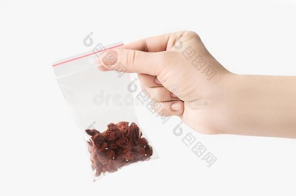 手拿塑料透明拉链袋与家庭干燥草莓隔离在白色，真空包装模型与红色夹子。 康