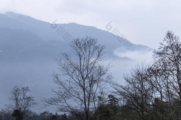 气氛分支瓷器云峨眉