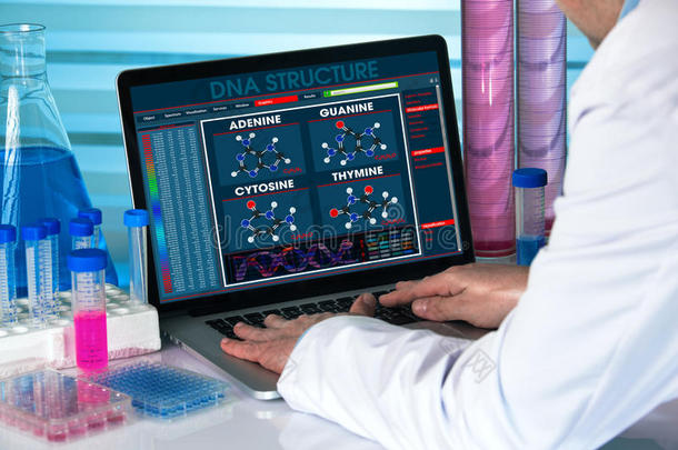 基因工程师使用计算机与结构测试DNA在生物技术实验室