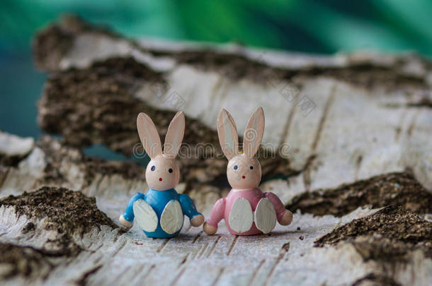 复活节概念。 两只<strong>小白兔</strong>在桦树皮上。