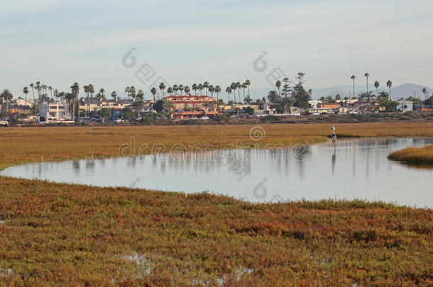 海滩加利福尼亚草帝国的沼泽