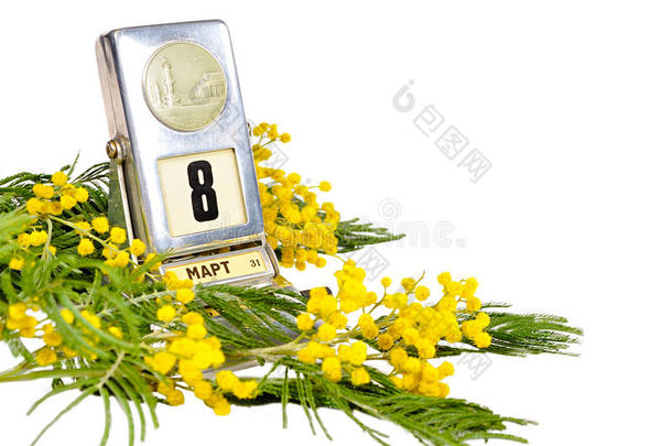 3月8日卡片-老式台历与3月8日日期和含羞草花隔离在白色
