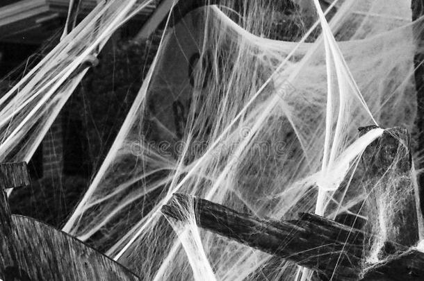 假蜘蛛网作为万圣节装饰的黑白