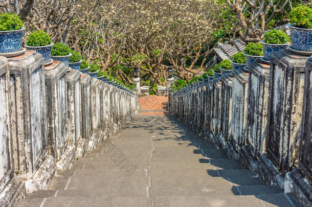 建筑的建筑学植物的植物学的植物学